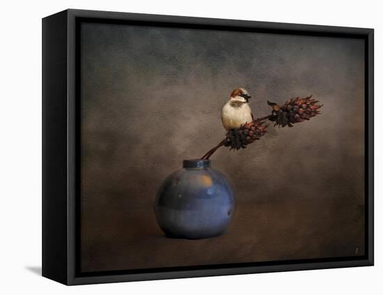 Little Sparrow Friend-Jai Johnson-Framed Premier Image Canvas