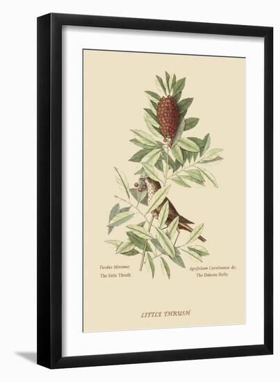 Little Thrush-Mark Catesby-Framed Art Print