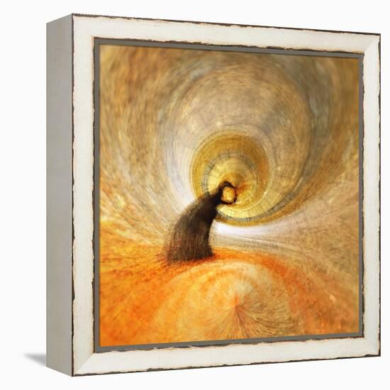 Little Tree-Ursula Abresch-Framed Premier Image Canvas