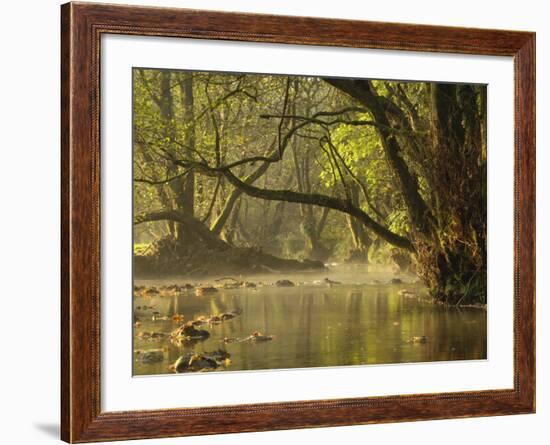 Little Water of Fleet, Fleet Valley National Scenic Area, Dumfries and Galloway, Scotland, UK-Gary Cook-Framed Photographic Print