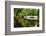 Little White Southern Footbridge-George Oze-Framed Photographic Print