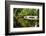 Little White Southern Footbridge-George Oze-Framed Photographic Print