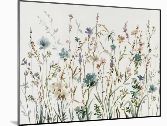 Little Wild Flowers-Asia Jensen-Mounted Art Print