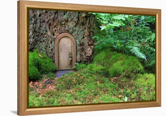 Little Wooden Fairy Tale Door In A Tree Trunk-Hannamariah-Framed Stretched Canvas