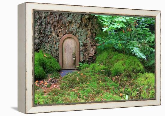 Little Wooden Fairy Tale Door In A Tree Trunk-Hannamariah-Framed Stretched Canvas