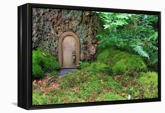 Little Wooden Fairy Tale Door In A Tree Trunk-Hannamariah-Framed Stretched Canvas