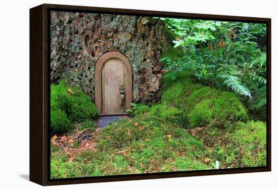 Little Wooden Fairy Tale Door In A Tree Trunk-Hannamariah-Framed Stretched Canvas