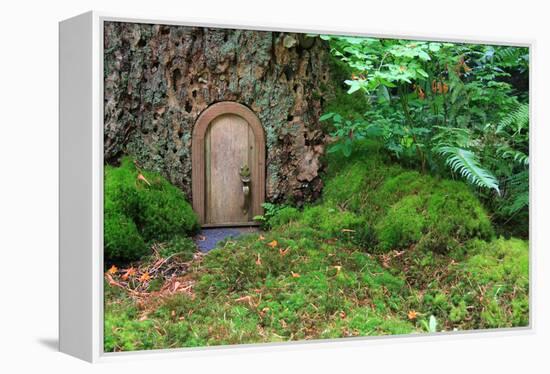 Little Wooden Fairy Tale Door In A Tree Trunk-Hannamariah-Framed Stretched Canvas