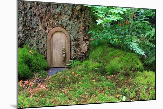 Little Wooden Fairy Tale Door In A Tree Trunk-Hannamariah-Mounted Art Print