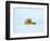 Little yellow house-Marco Carmassi-Framed Photographic Print