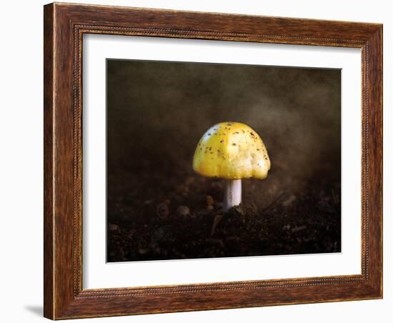 Little Yellow Mushroom-Jai Johnson-Framed Giclee Print