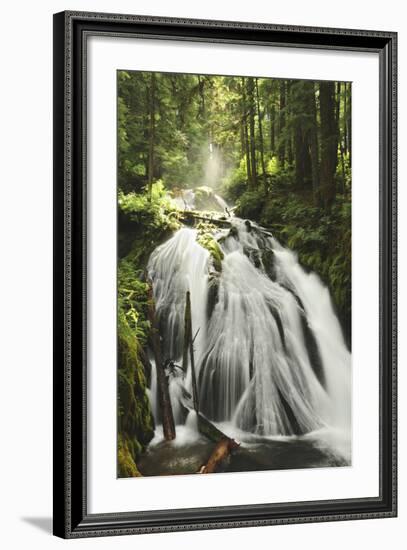 Little Zig Zag Falls, Welches, Oregon, USA-Michel Hersen-Framed Photographic Print