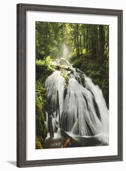 Little Zig Zag Falls, Welches, Oregon, USA-Michel Hersen-Framed Photographic Print