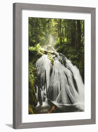 Little Zig Zag Falls, Welches, Oregon, USA-Michel Hersen-Framed Photographic Print