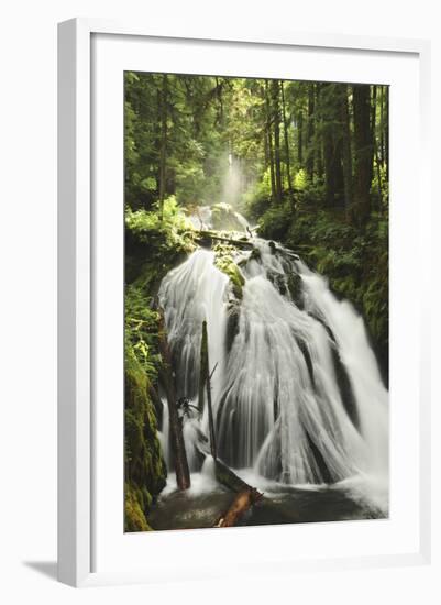 Little Zig Zag Falls, Welches, Oregon, USA-Michel Hersen-Framed Photographic Print