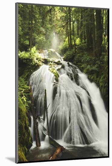 Little Zig Zag Falls, Welches, Oregon, USA-Michel Hersen-Mounted Photographic Print