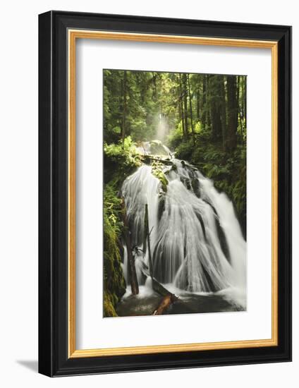 Little Zig Zag Falls, Welches, Oregon, USA-Michel Hersen-Framed Photographic Print