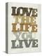 Stretched Canvas Print