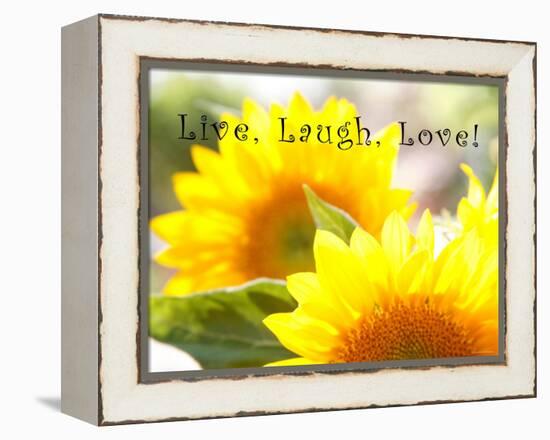 Live Laugh Love: Sunflower-Nicole Katano-Framed Stretched Canvas