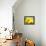 Live Laugh Love: Sunflower-Nicole Katano-Framed Stretched Canvas displayed on a wall