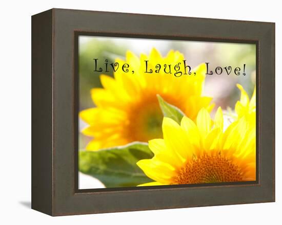 Live Laugh Love: Sunflower-Nicole Katano-Framed Stretched Canvas