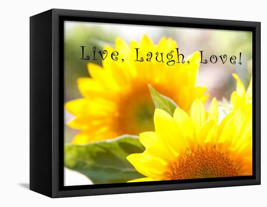 Live Laugh Love: Sunflower-Nicole Katano-Framed Stretched Canvas