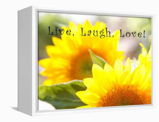 Live Laugh Love: Sunflower-Nicole Katano-Framed Stretched Canvas