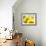 Live Laugh Love: Sunflower-Nicole Katano-Framed Photo displayed on a wall