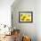 Live Laugh Love: Sunflower-Nicole Katano-Framed Photo displayed on a wall