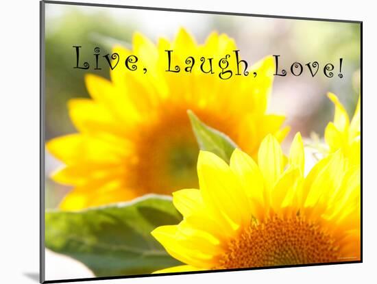 Live Laugh Love: Sunflower-Nicole Katano-Mounted Photo