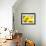 Live Laugh Love: Sunflower-Nicole Katano-Framed Photo displayed on a wall