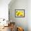 Live Laugh Love: Sunflower-Nicole Katano-Framed Photo displayed on a wall