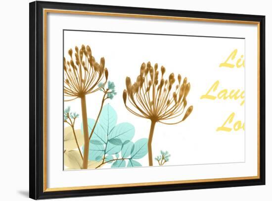 Live Laugh Love-Albert Koetsier-Framed Photo