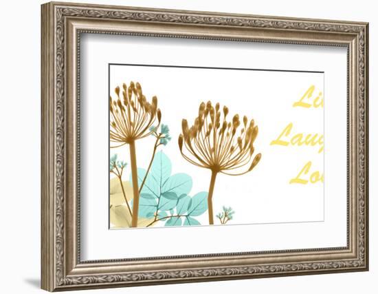 Live Laugh Love-Albert Koetsier-Framed Photo