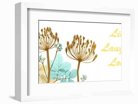 Live Laugh Love-Albert Koetsier-Framed Photo