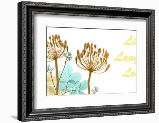 Live Laugh Love-Albert Koetsier-Framed Photo