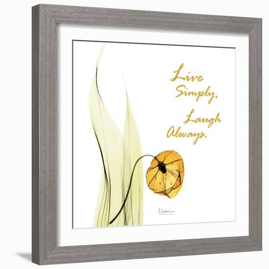 Live Laugh Sandersonia H51-Albert Koetsier-Framed Photographic Print