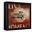 Live Life-Janet Kruskamp-Framed Stretched Canvas