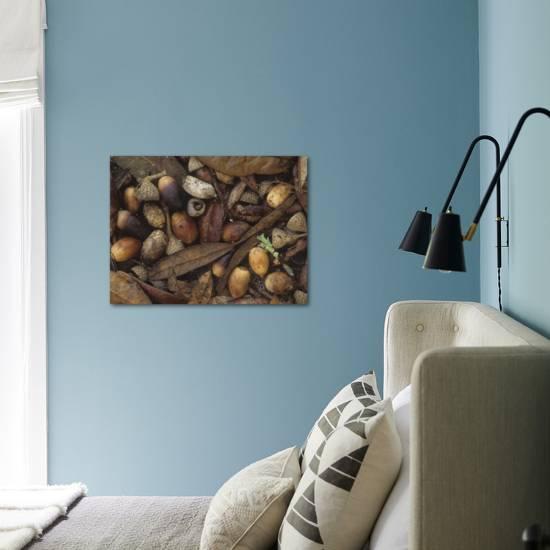 Live Oak Leaves And Acorns On The Fall Forest Floor Quercus Virginiana Eastern North America Photographic Print By Leroy Simon Art Com