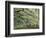 Live Oak Tree Draped with Spanish Moss, Savannah, Georgia, USA-Adam Jones-Framed Photographic Print