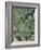 Live Oak Tree, Savannah, Georgia, USA-Adam Jones-Framed Photographic Print