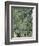 Live Oak Tree, Savannah, Georgia, USA-Adam Jones-Framed Photographic Print