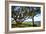 Live Oaks by the Bay I-Alan Hausenflock-Framed Photographic Print