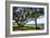 Live Oaks by the Bay I-Alan Hausenflock-Framed Photographic Print