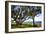 Live Oaks by the Bay I-Alan Hausenflock-Framed Photographic Print