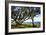 Live Oaks by the Bay I-Alan Hausenflock-Framed Photographic Print