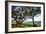 Live Oaks by the Bay I-Alan Hausenflock-Framed Photographic Print