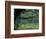 Live Oaks Covered in Spanish Moss and Ferns, Cumberland Island, Georgia, USA-Art Wolfe-Framed Photographic Print