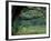 Live Oaks Covered in Spanish Moss and Ferns, Cumberland Island, Georgia, USA-Art Wolfe-Framed Photographic Print