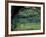 Live Oaks Covered in Spanish Moss and Ferns, Cumberland Island, Georgia, USA-Art Wolfe-Framed Photographic Print